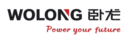 卧龙电气驱动集团股份有限公司 logo