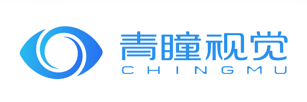 上海青瞳视觉科技有限公司 logo