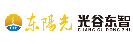 湖北光谷东智具身智能技术有限公司 logo